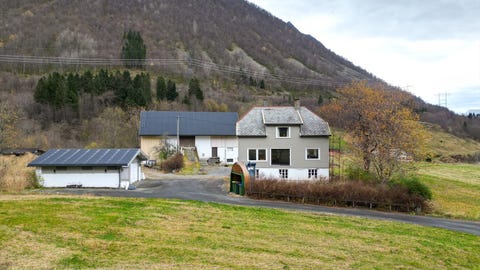Bilde 1 av annonsen