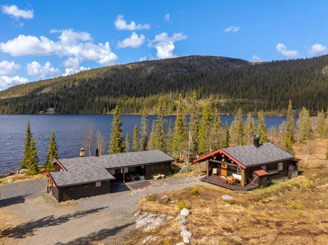 Bilde 1 av annonsen