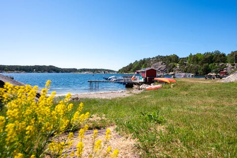 Bilde 2 av annonsen