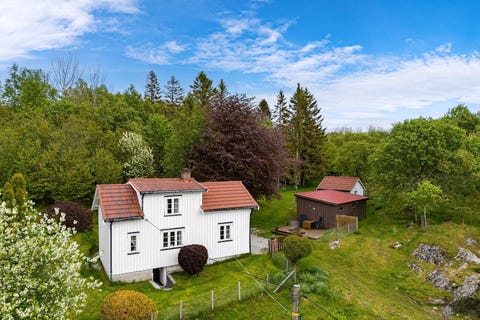 Bilde 1 av annonsen