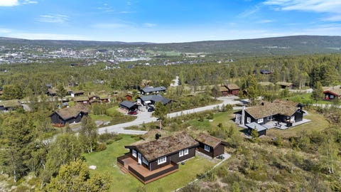 Bilde 1 av annonsen