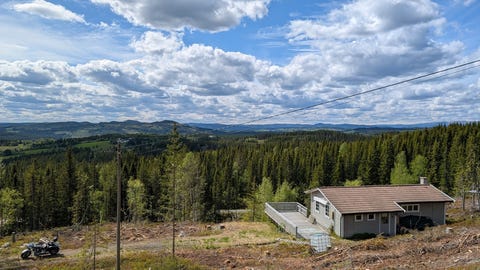 Bilde 1 av annonsen