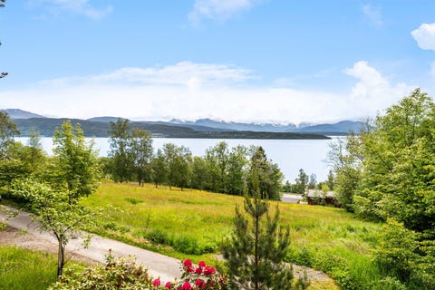 Bilde 2 av annonsen