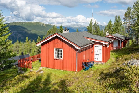 Bilde 1 av annonsen