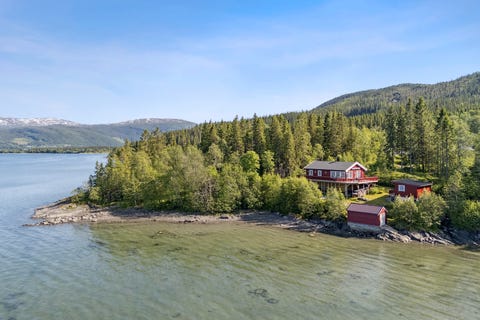 Bilde 1 av annonsen