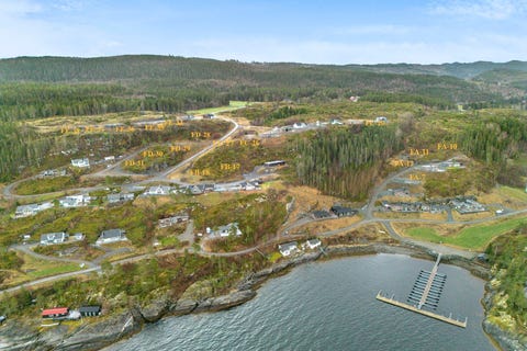 Bilde 2 av annonsen