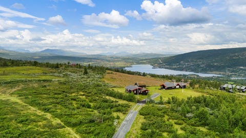 Bilde 2 av annonsen