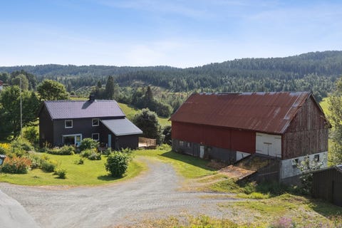 Bilde 1 av annonsen