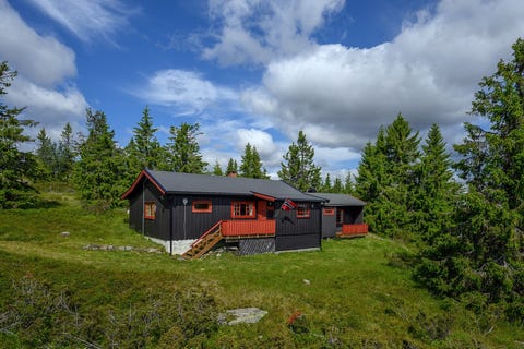 Bilde 1 av annonsen