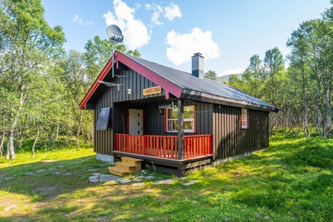 Bilde 1 av annonsen