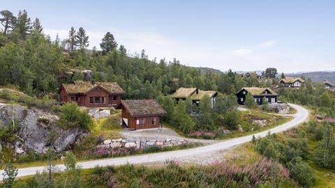 Bilde 1 av annonsen