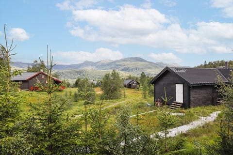 Bilde 2 av annonsen