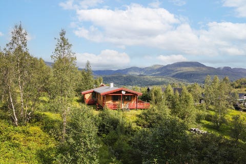 Bilde 1 av annonsen
