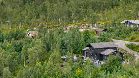 Bilde 1 av annonsen