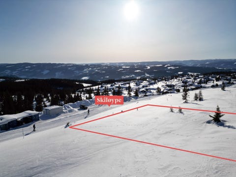 Bilde 1 av annonsen