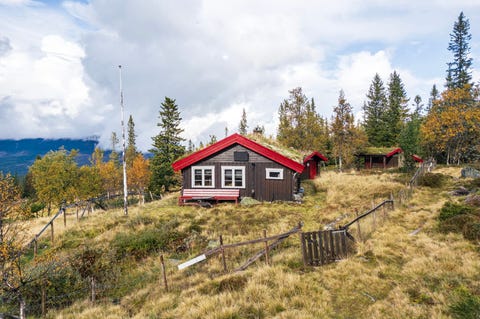 Bilde 1 av annonsen