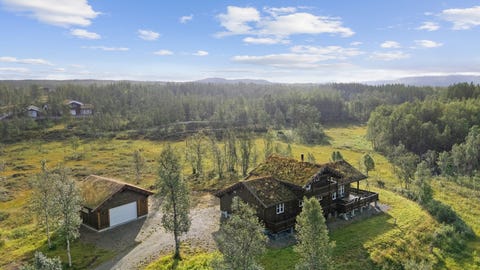 Bilde 1 av annonsen