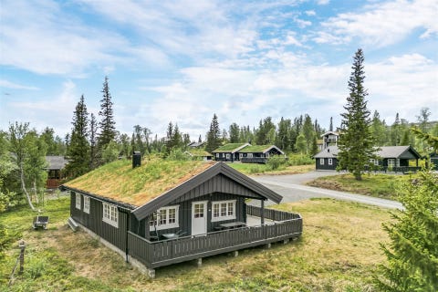 Bilde 1 av annonsen