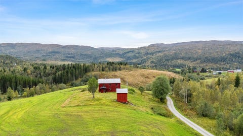 Bilde 1 av annonsen
