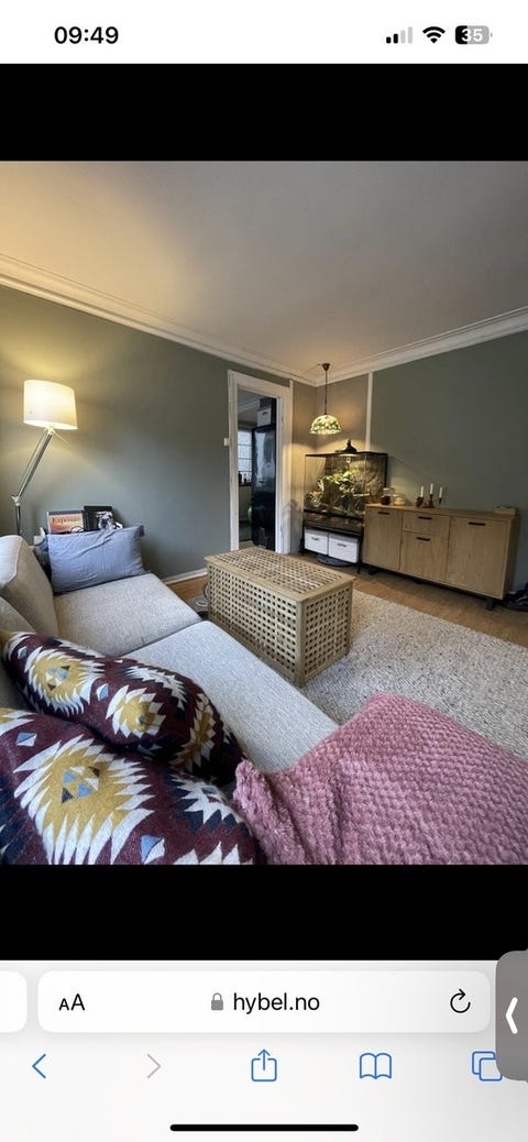 Bilde 2 av annonsen