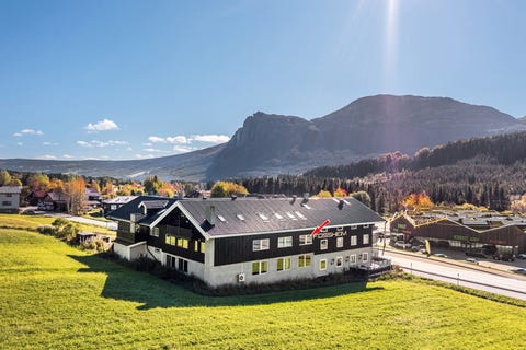 Bilde 1 av annonsen