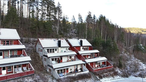 Bilde 1 av annonsen