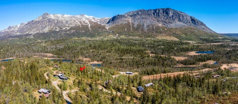 Bilde 2 av annonsen