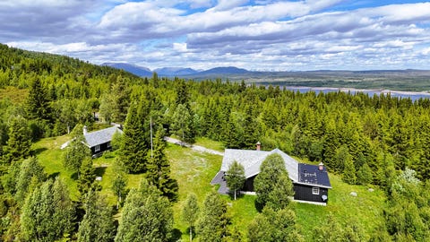 Bilde 2 av annonsen