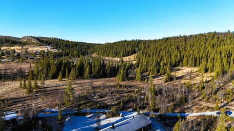 Bilde 2 av annonsen