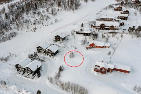 Bilde 2 av annonsen