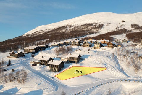 Bilde 2 av annonsen