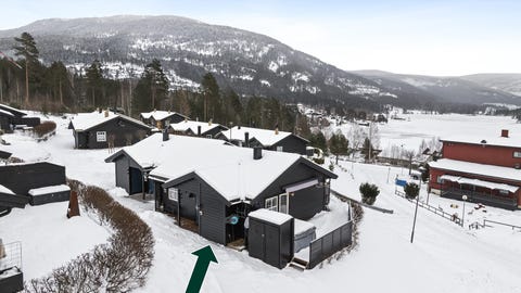 Bilde 1 av annonsen