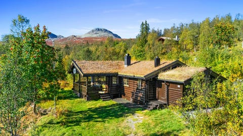 Bilde 1 av annonsen