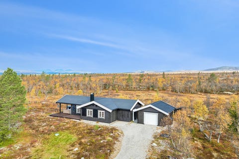 Bilde 1 av annonsen