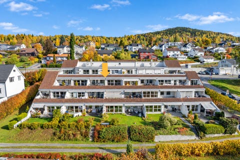 Bilde 1 av annonsen