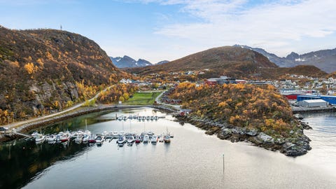Bilde 1 av annonsen