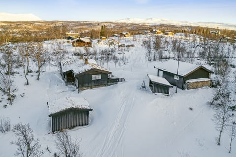 Bilde 1 av annonsen