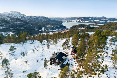 Bilde 1 av annonsen