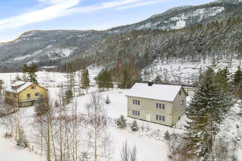 Bilde 1 av annonsen
