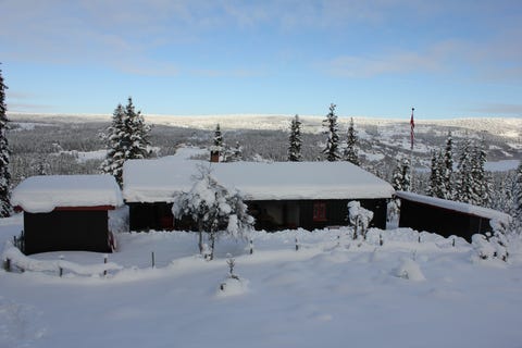 Bilde 1 av annonsen