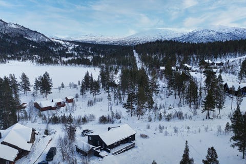 Bilde 1 av annonsen