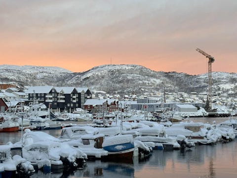 Bilde 1 av annonsen