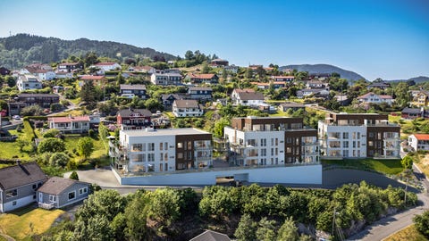 Bilde 1 av annonsen