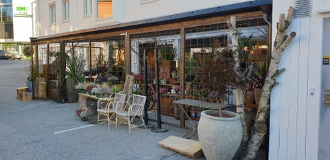 Bilde 2 av annonsen
