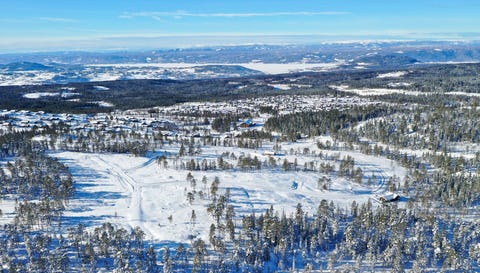 Bilde 1 av annonsen