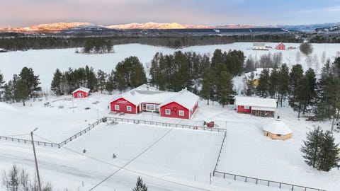 Bilde 1 av annonsen