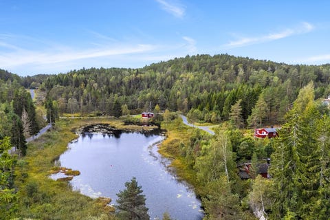 Bilde 2 av annonsen