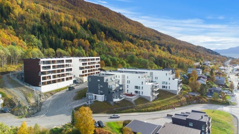 Bilde 1 av annonsen
