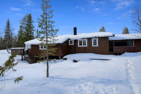 Bilde 1 av annonsen