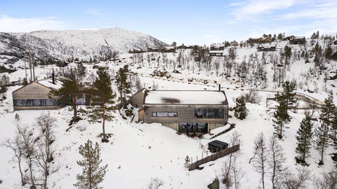 Bilde 1 av annonsen